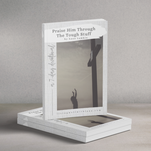 Praise Him Through The Tough Stuff: A 7-Day Devotional
